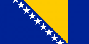 flag_of_bosnia_and_herzegovina.svg.png